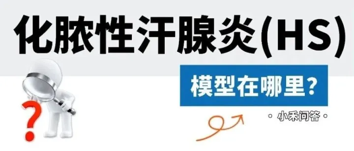 小禾问答(30) | 化脓性汗腺炎(HS),模型在哪里？