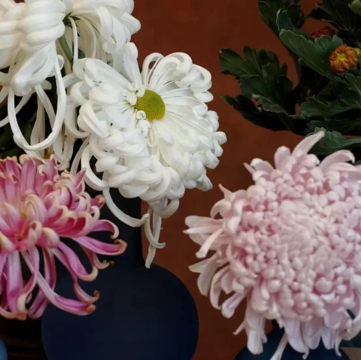 咖啡豆、芝麻、橡胶……零关税一年，非洲好物涌入中国