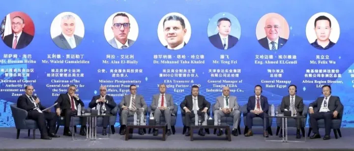 中非泰达参加首届中埃投资论坛并分享产融合作经验