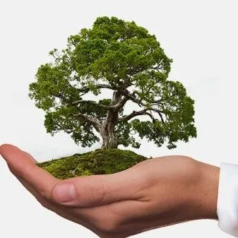 泛微OA | 冶金能源环保<em>行业</em><em>解决方案</em>