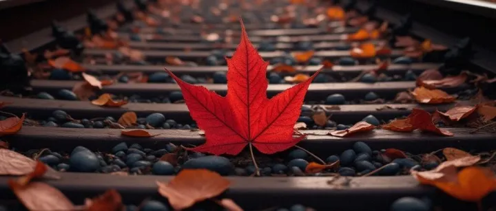 加拿大发国际快递申报金额及尺寸重量要求