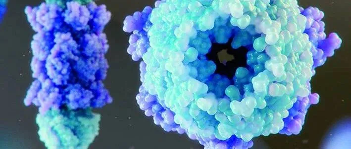 梁文锋、杜梦然入选《自然》年度十大科学人物