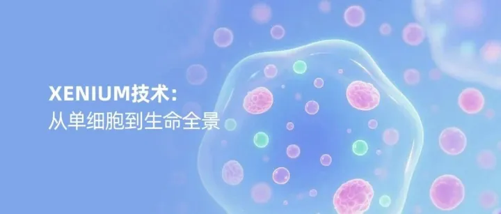 解码Xenium如何绘制生命空间全景图（上）