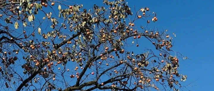 2008年危险信号又出现了？