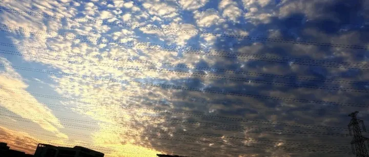 巴西出海真相：出事不是会不会，而<em>是什么</em><em>时候</em>