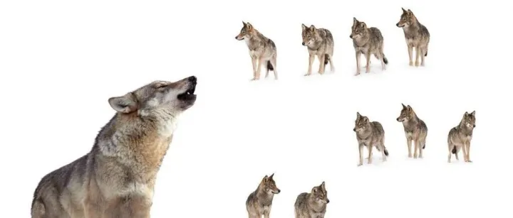 高底薪+高提成+分发客户+各种培训的目的是什么？