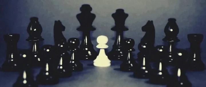 剔除“害群之马”：ROE稳定性视角构建高质量选股组合——质量因子新语之系列一