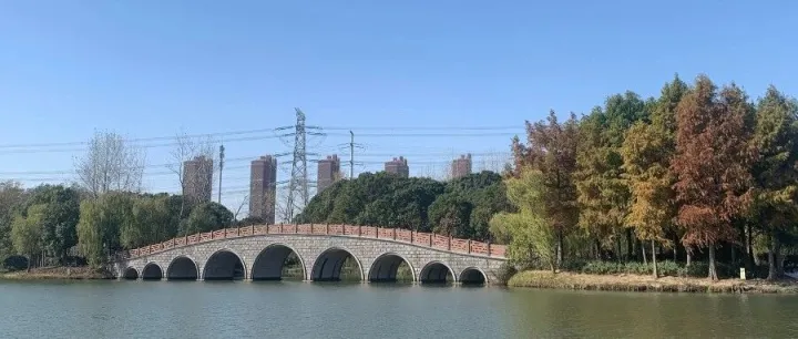 什么？Etsy中国店开通两个月，就靠这几款产品，出了225个订单！