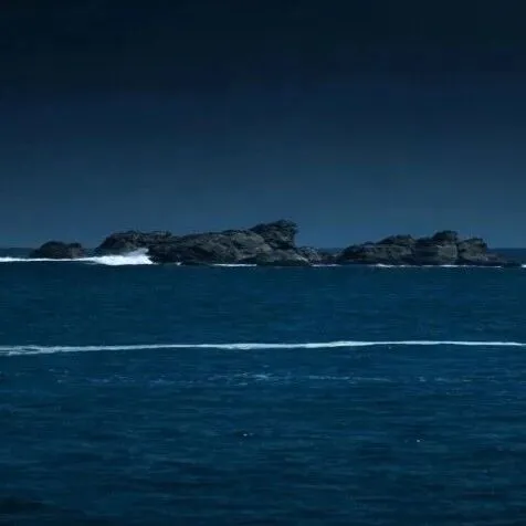 医械行业，2026年有关键分水岭