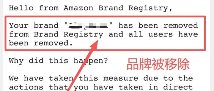 AMZ店铺<em>遇到</em>【品牌滥用】<em>怎么</em>分析？<em>怎么</em>申诉？<em>怎么</em>避免？