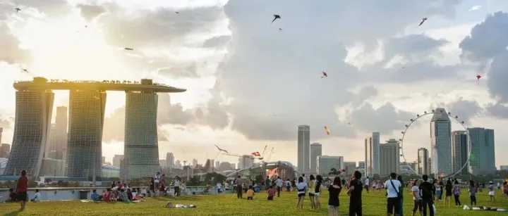 新加坡优惠原产地证规则手册