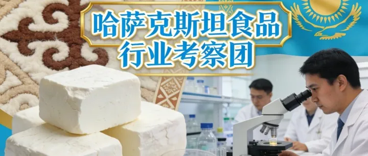 快消品牌要不要做哈萨克斯坦？定制化五日商务考察团你可以考虑！