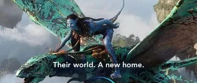 速报！预售倒计时！