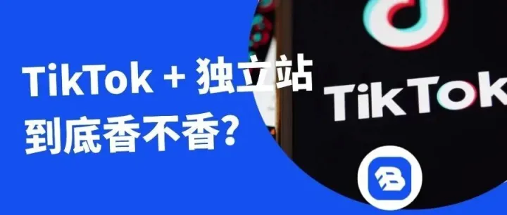 <em>Buy</em> Easy采易通|TikTok + 独立站，到底香不香？