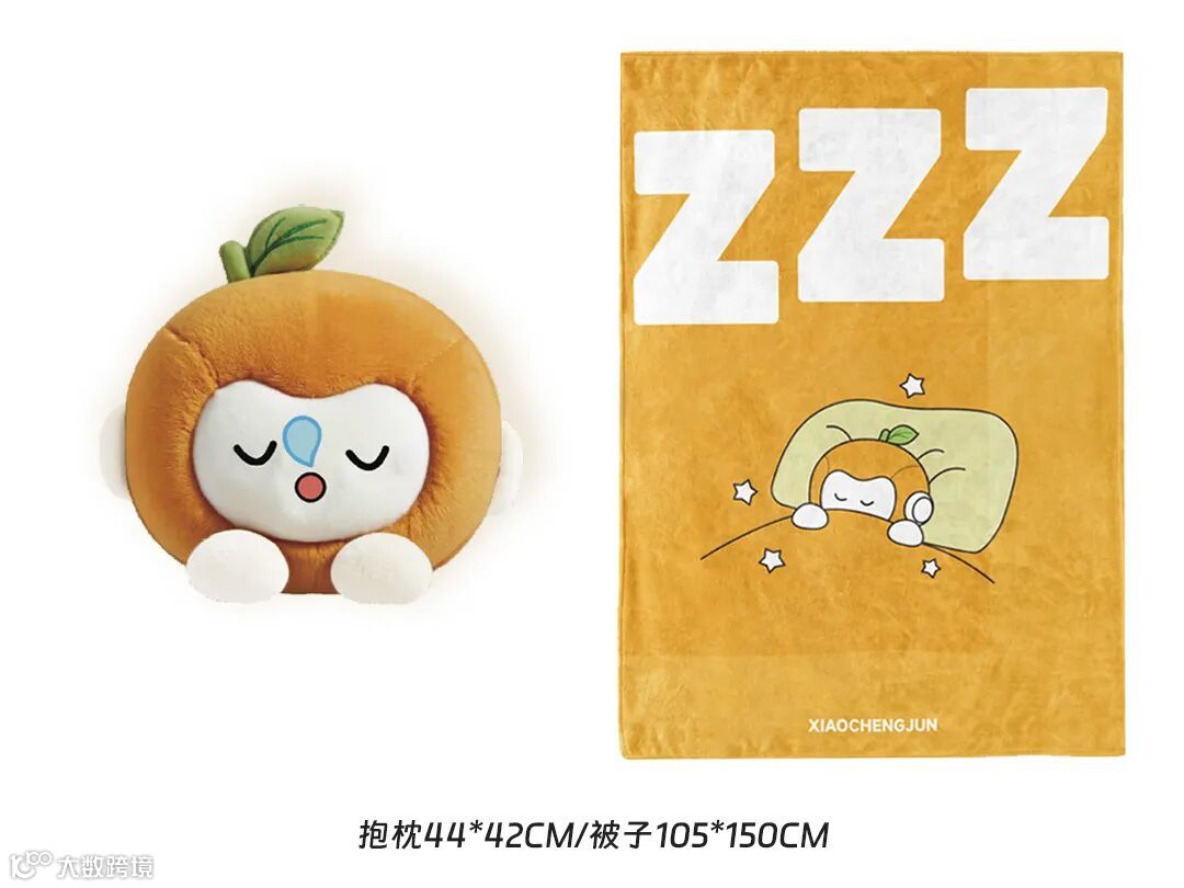 抱枕二合一.jpg