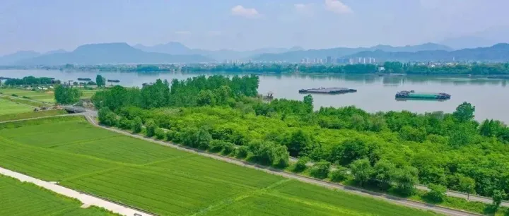 AI+农业 | <em>数</em>智赋能农业全链条升级：托普云农打造富阳新桐黄金<em>仓</em>现代农事<em>服务</em>中心标杆