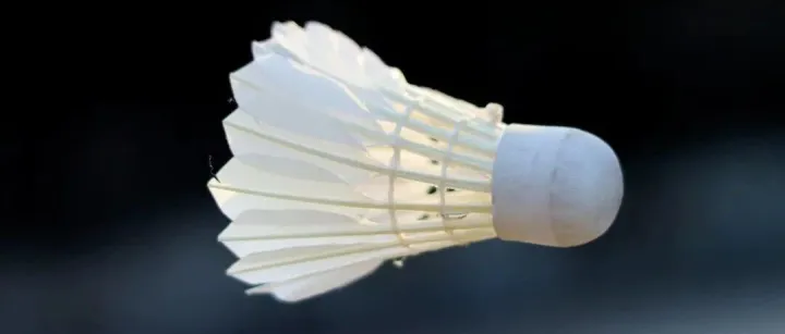 羽毛球不是“球”？丨归类分析