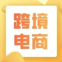 跨境电商平台企业、外贸进出口企业涉税信息报送的风险点及应对——基于国税局15、17号文｜实务探讨