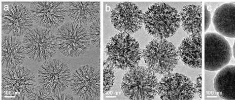 透射电子显微镜（TEM）测试全解读：原理、样品制备与注意事项（含生物TEM）