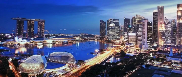 2025最新申请攻略 —— 新加坡各类准证