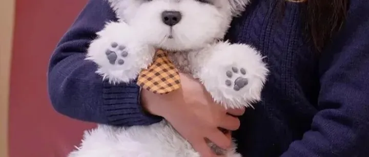 不止是玩具：Chongker如何把“情感陪伴”做成一门全球生意