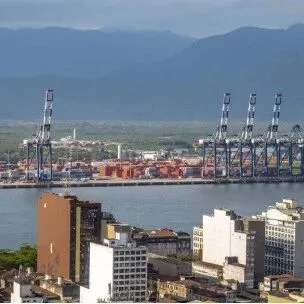 裁定！马士基、MSC等船公司不得参与竞标！