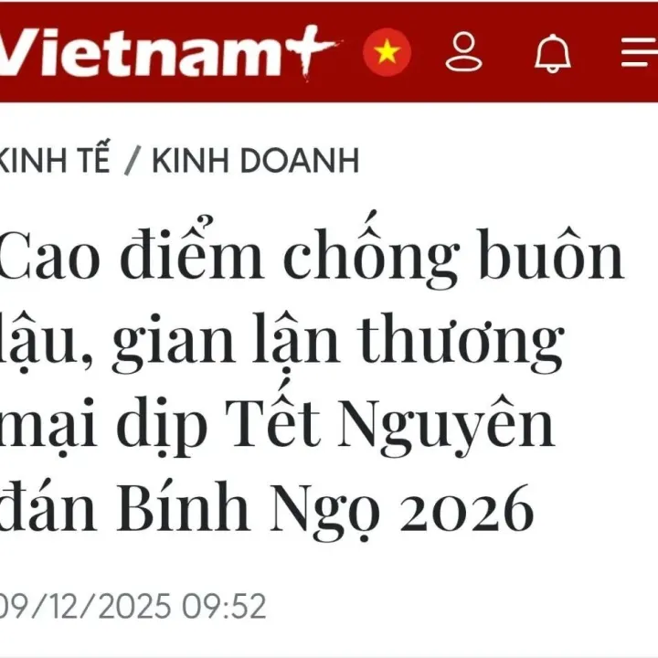 资讯 | 越南海关“亮剑”！严打贸易欺诈，2025-2026年出口企业这些红线千万别碰！