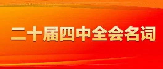 二十届四中全会名词卡片：分布式能源