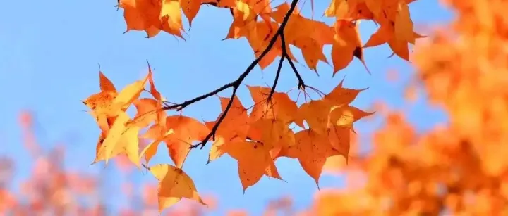 南昌秋日大片，正在上映！