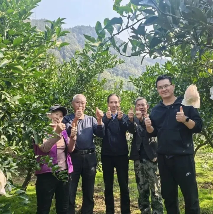 【青耘重庆·黔江山礼】黔江黑溪耙耙柑：被青春力量赋能的“甜蜜产业”