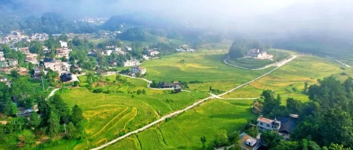 【青耘重庆·黔江山礼】青春力量涌动在希望的田野