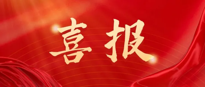 喜报！创新奇智获青岛民营经济领域两项重磅荣誉