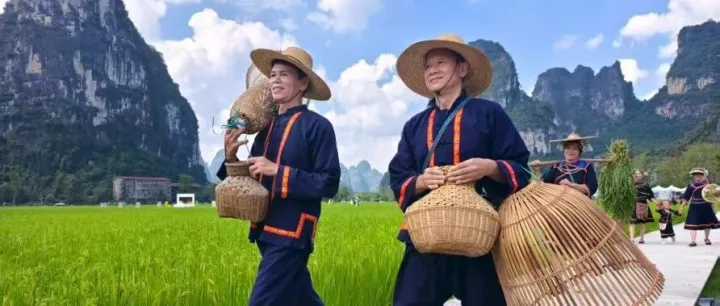 南国<em>崇左</em> 醉美金秋