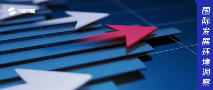 国际发展环境洞察（2025年第10期）