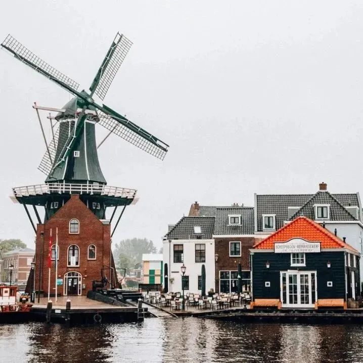 中企进军欧洲 —— 荷兰雇佣指南