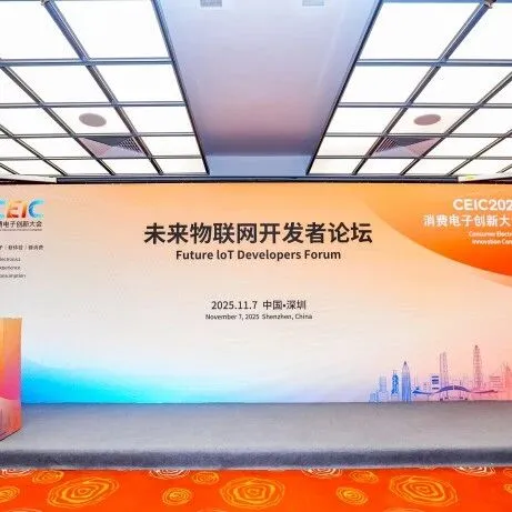 物联网开源生态进入深水区：开发者需在技术与商业的夹缝中寻找破局之道
