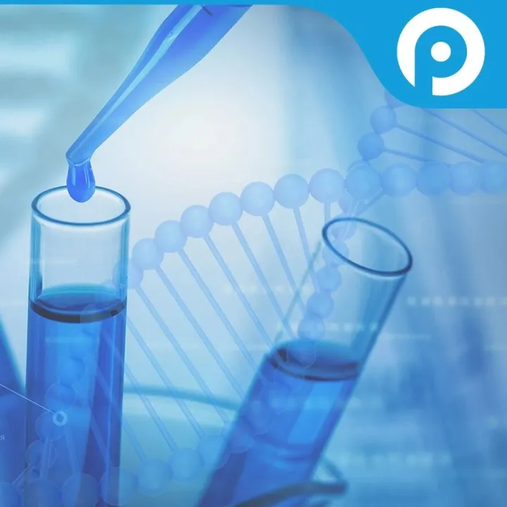 选「柱」不迷茫！这些色谱填料关键参数早知道→