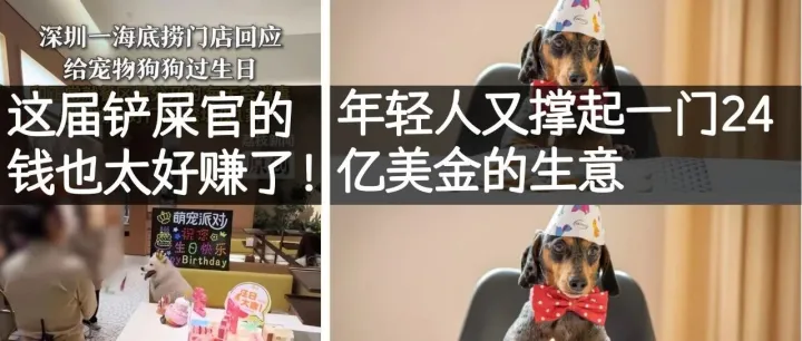 <em>海底</em><em>捞</em>给宠物狗过生日，从 “人不如狗” 到 “靠狗赚钱”！铲屎<em>官</em>的钱竟然那么好挣！