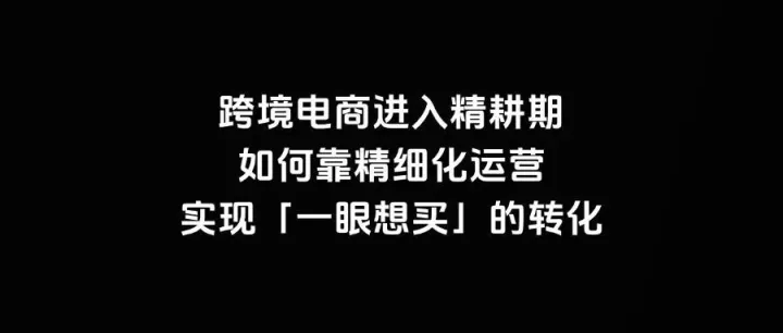 跨境电商进入精耕期 如何靠精细化运营实现「一眼想买」的转化