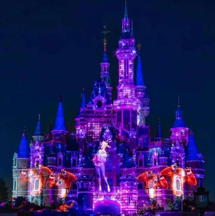 SH Disneyland <em>Where</em> Every Story Comes Alive, incl. Zootopia!