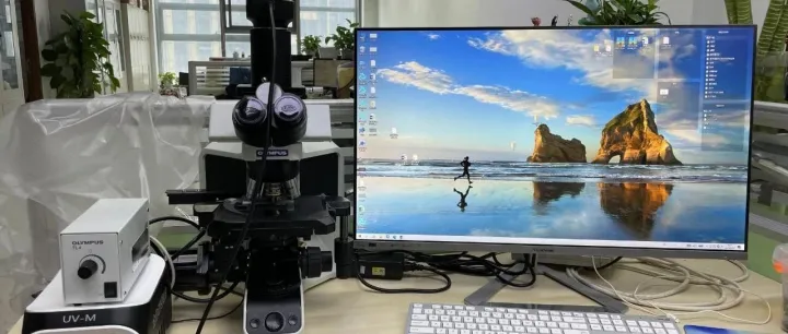 光学脱色摄像头方案