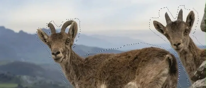 网页版 PS 横空出世！零基础也能 3 分钟搞定设计，打工人直呼救命神器！