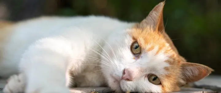 放弃挣扎还是绝地求生？这三个真实案例告诉你答案