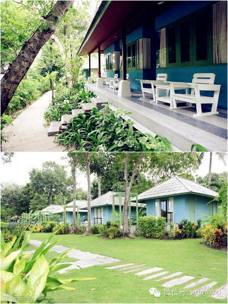 2015 泰国沙美岛攻略Samet (沙美岛在芭提雅附近)