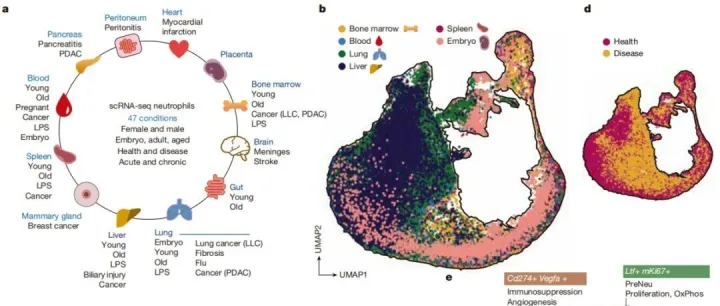 梅开三度！西湖大学黄来源团队又发顶刊！