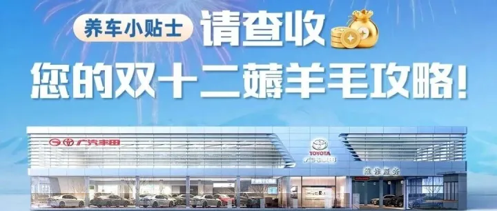 养车小贴士·请查收您的双十二薅羊毛攻略！