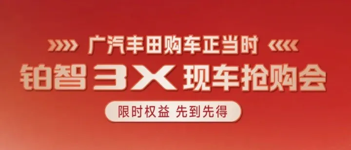年末焕新 | 铂智<em>3X</em> 现车限时抢购会！