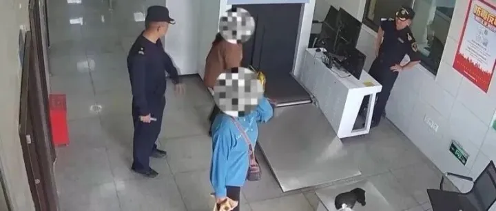 女子裤子内藏2斤<em>多</em><em>活</em>虫入境，被查