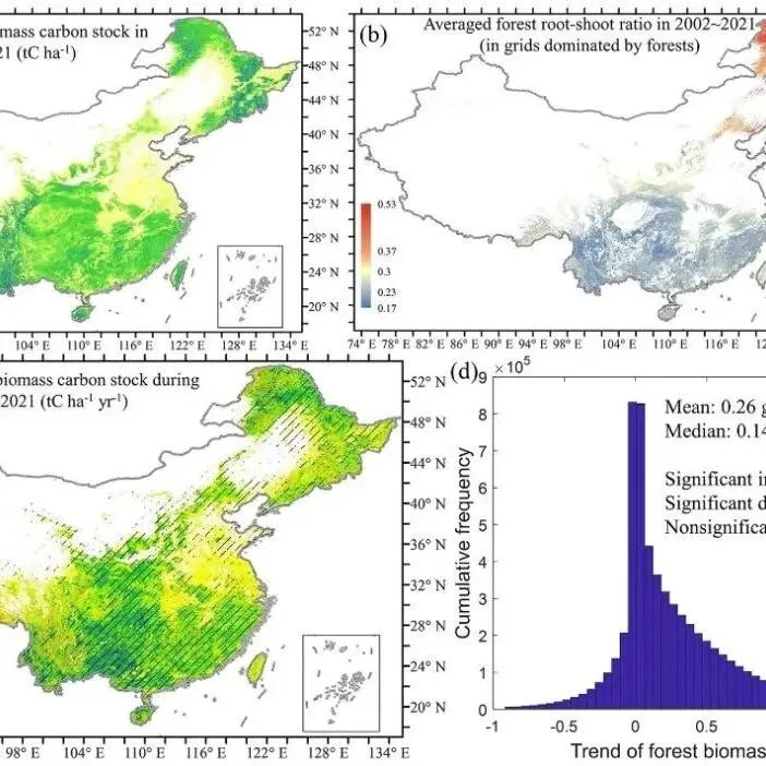 数据分享|2002-2021年中国森林地上地下植被碳储量数据集（免费分享，直接获取）