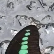 【AI】Nature：这种AI组合可以解锁人类级别的智能